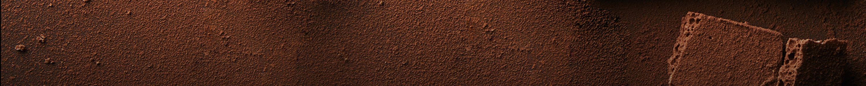 CAPSULE BEVANDE AL CIOCCOLATO banner