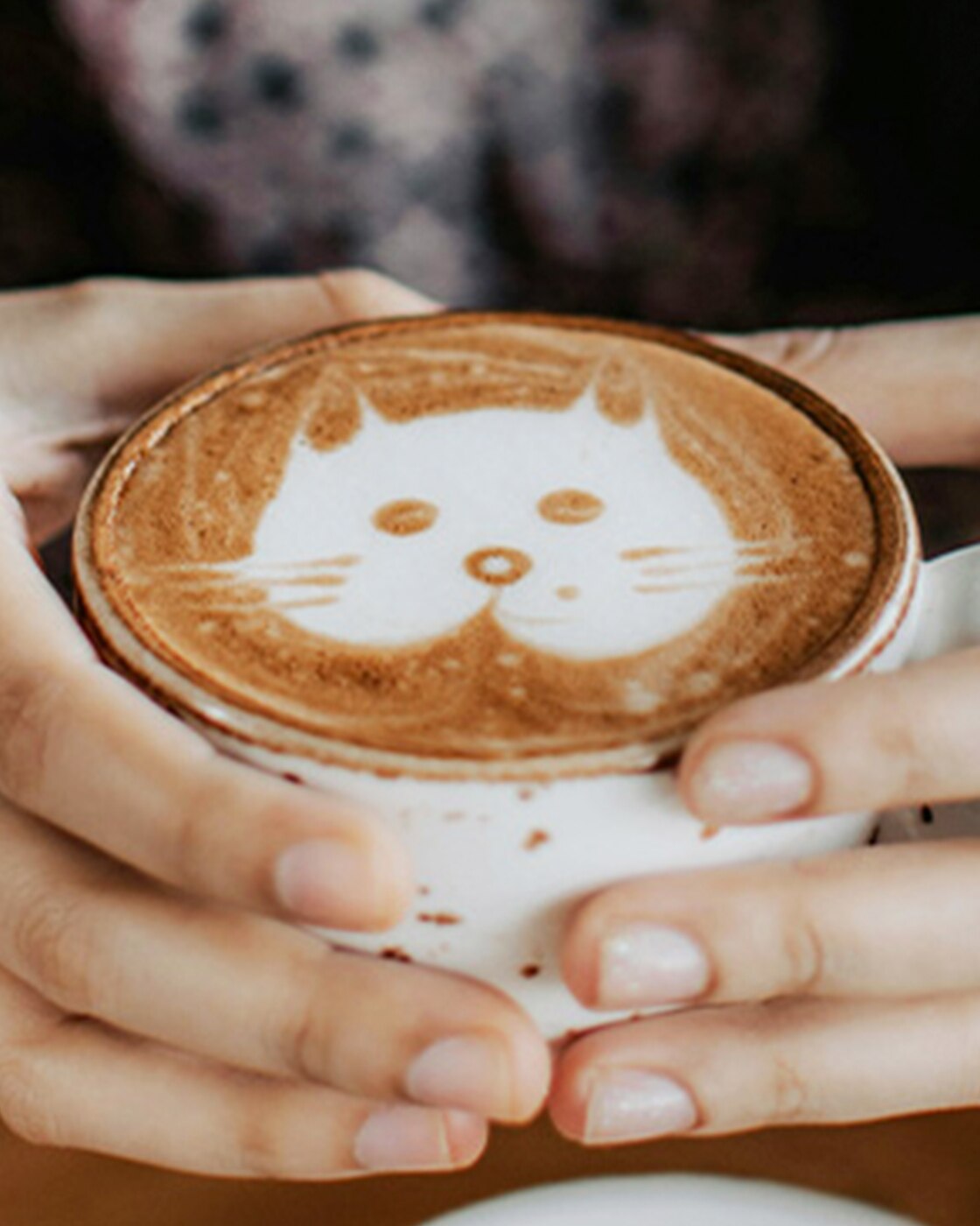 Cappuccino con gatto