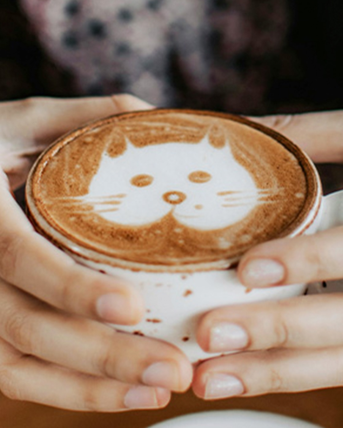Cappuccino con gatto