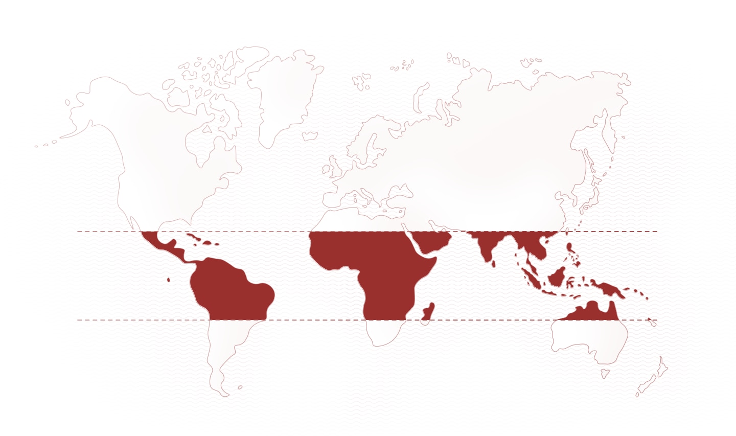 World map