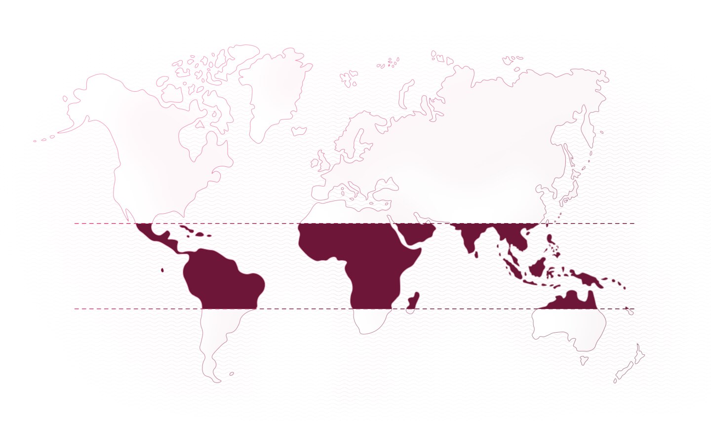 World map