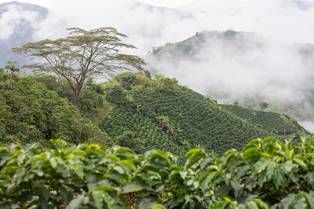 Colombia