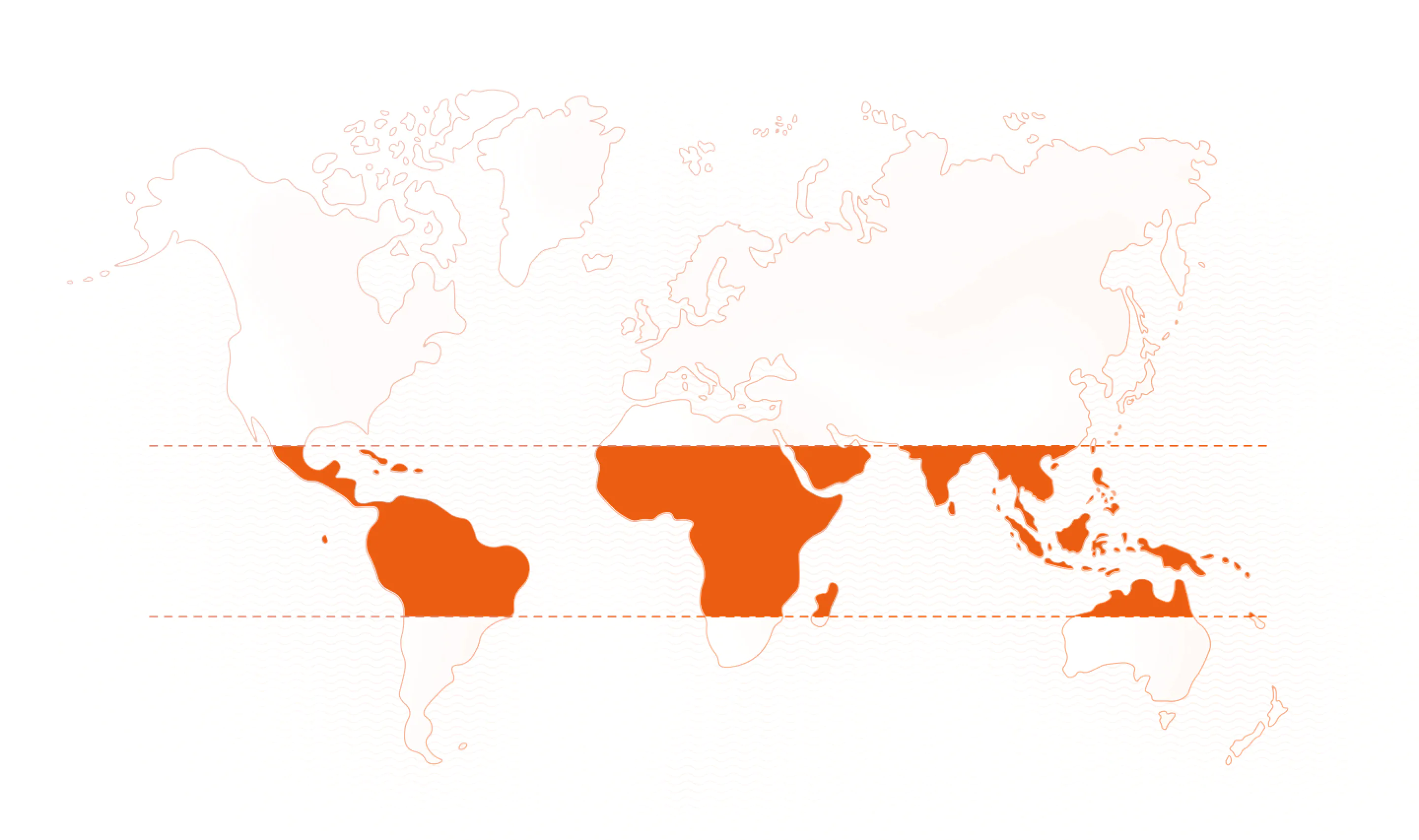 World map