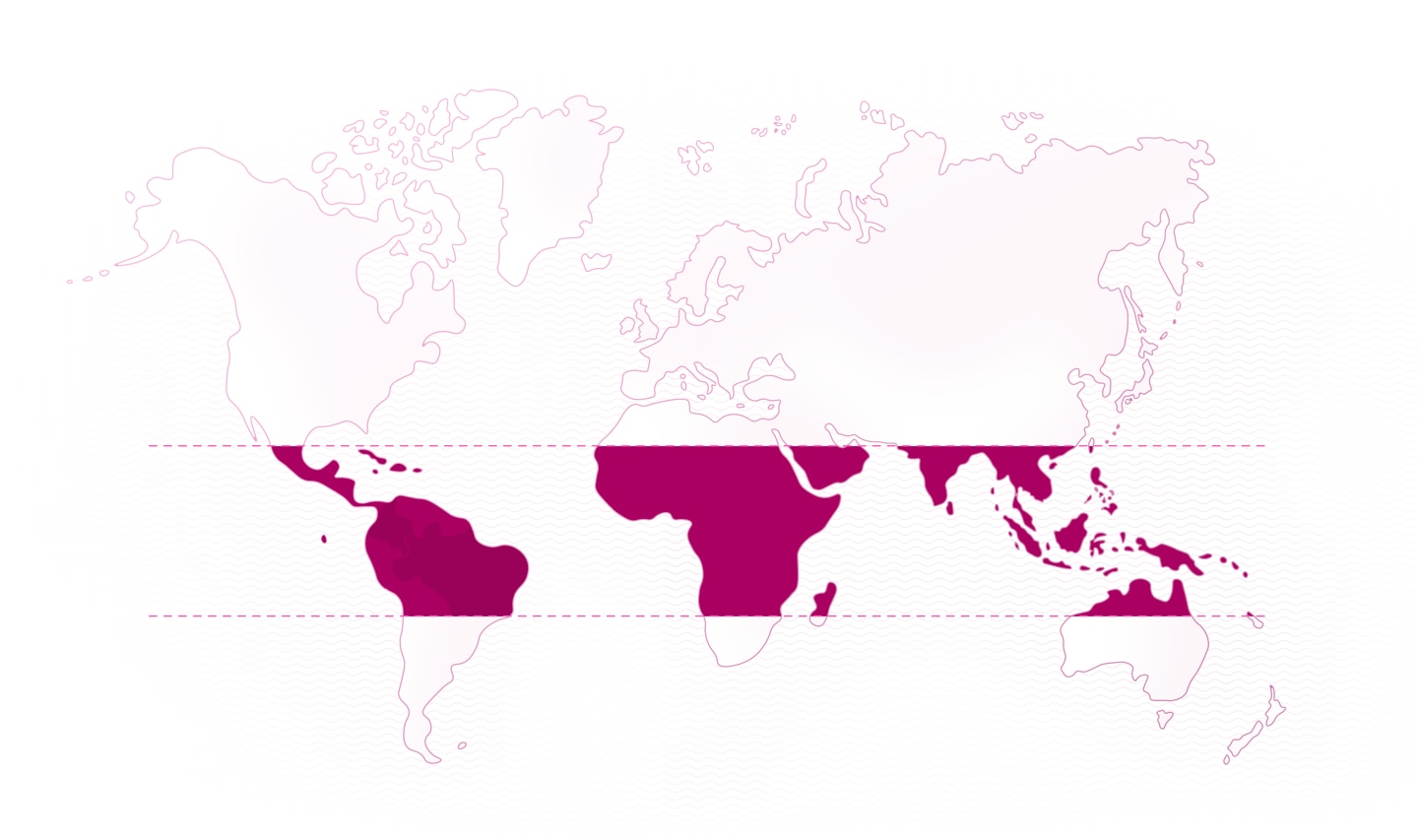 World map
