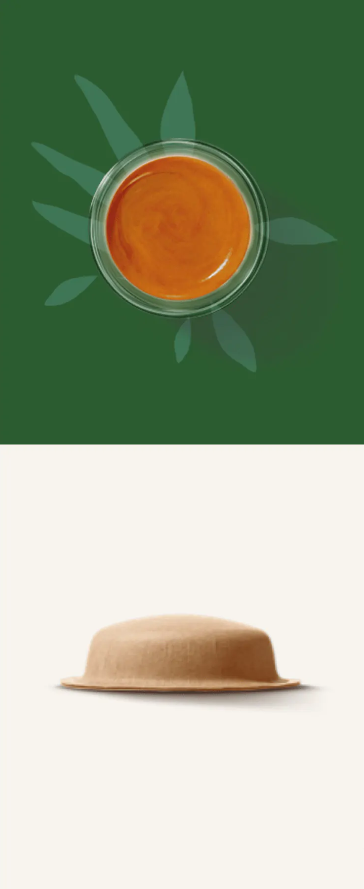 persona che pianta un germoglio di chicchi di caffè accanto a una capsula in carta