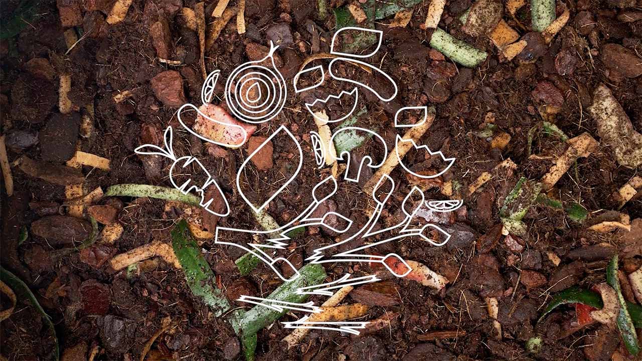 Guida compostaggio