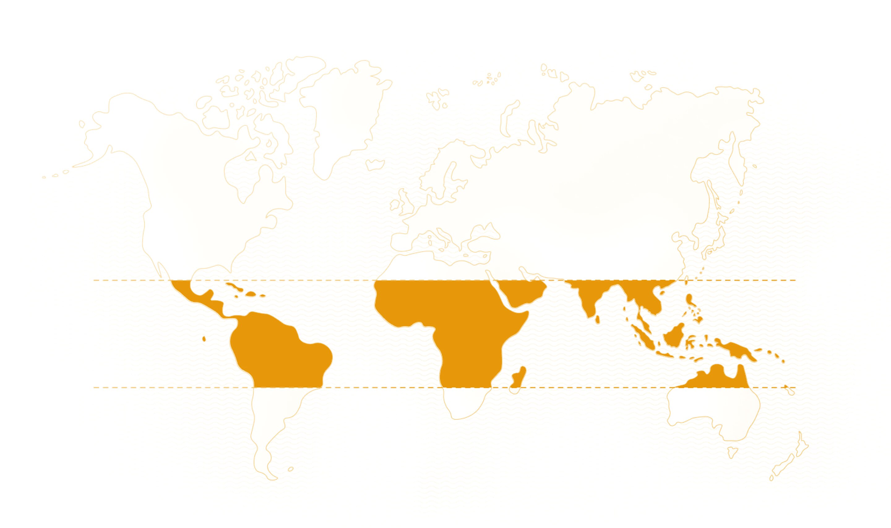 World map