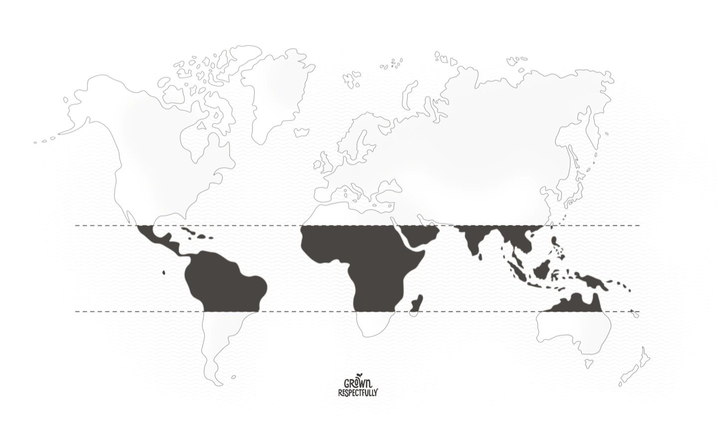 World map