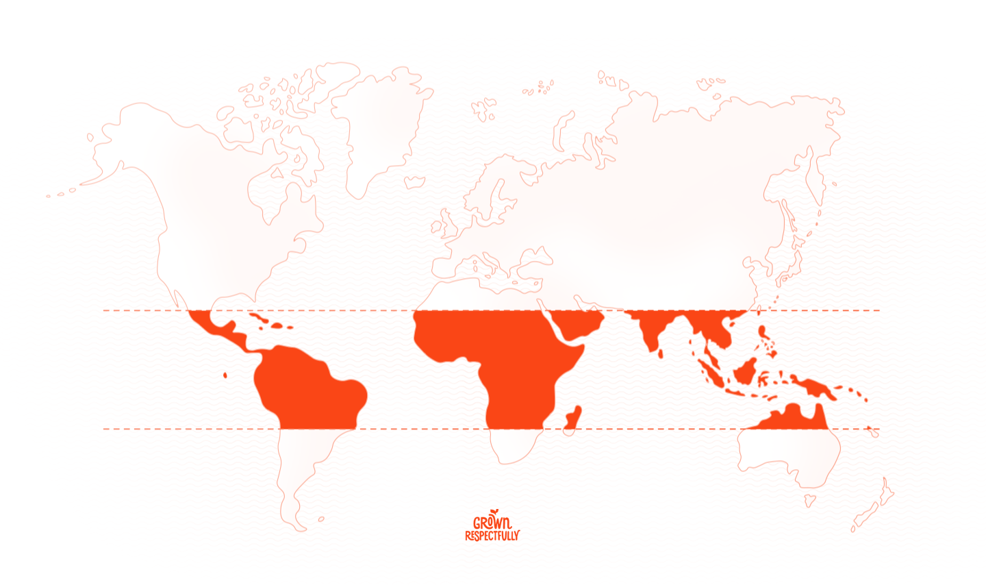 World map
