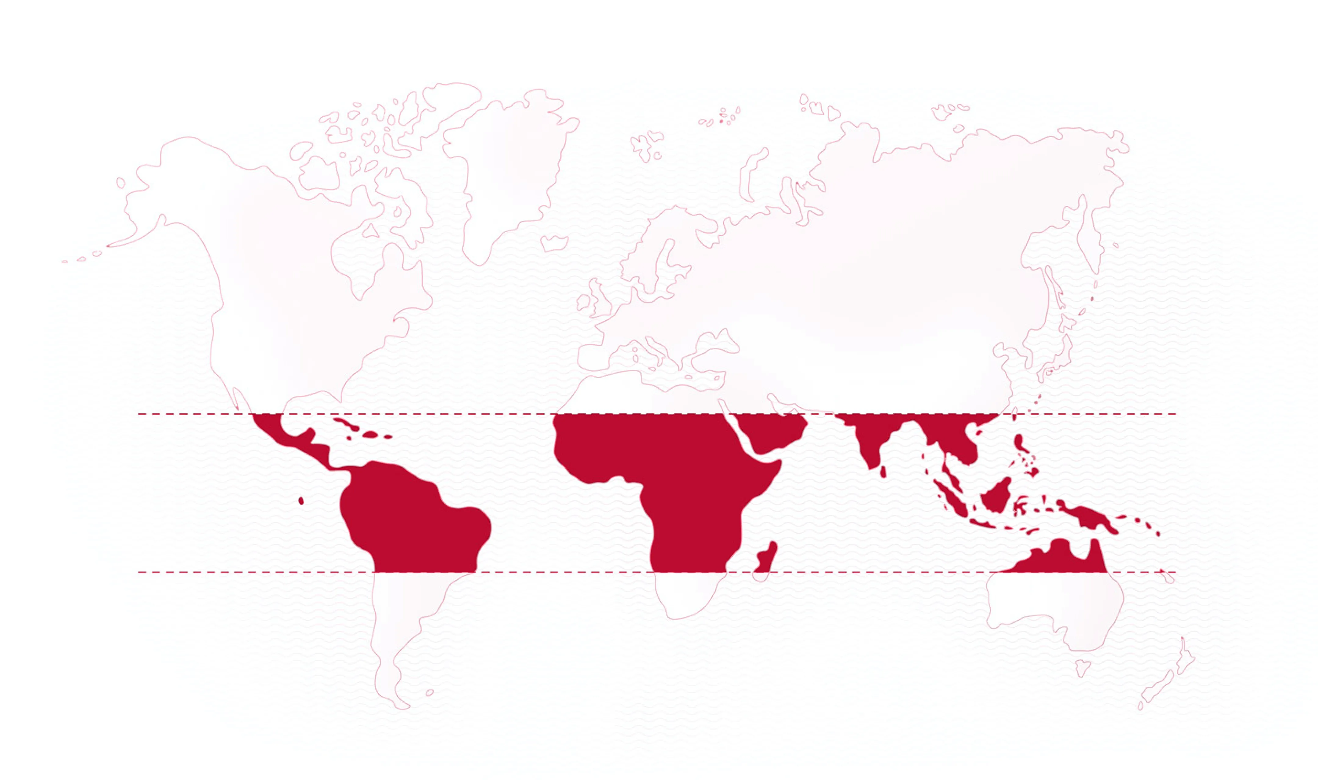 World map
