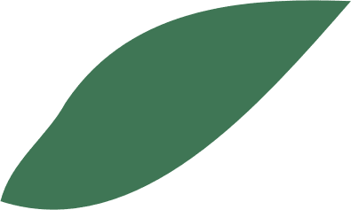 hoja de degradación