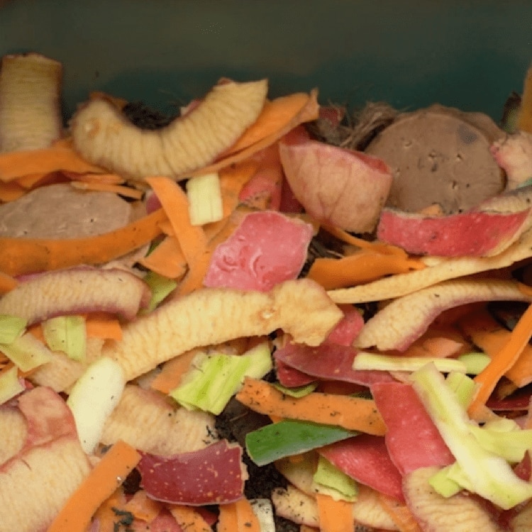 Smuovere periodicamente il compost