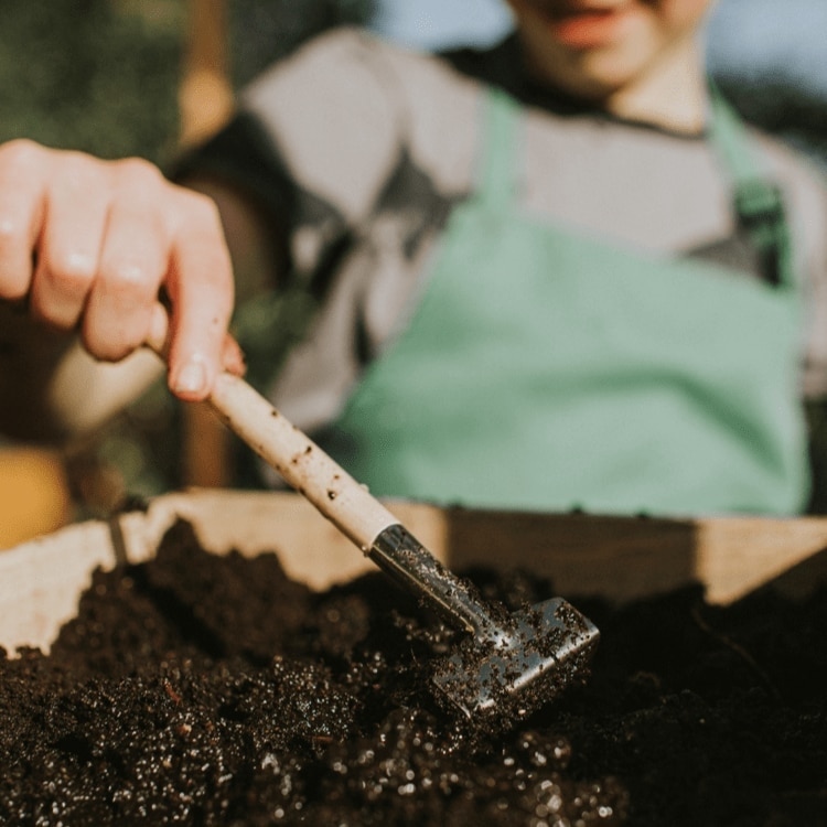 I benefici del compostaggio