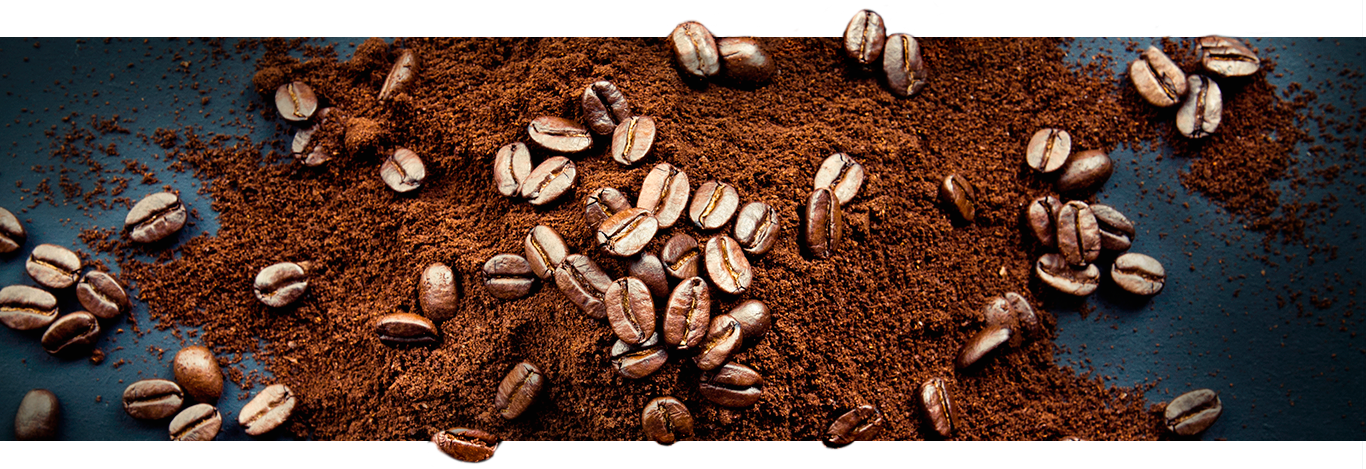 Notre expertise café - NESCAFÉ Dolce Gusto