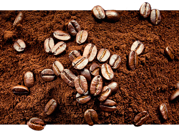 Notre expertise café - NESCAFÉ Dolce Gusto