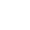 icon icon