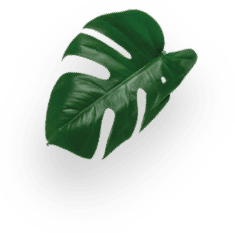 Caffè Lungo decoration Image
